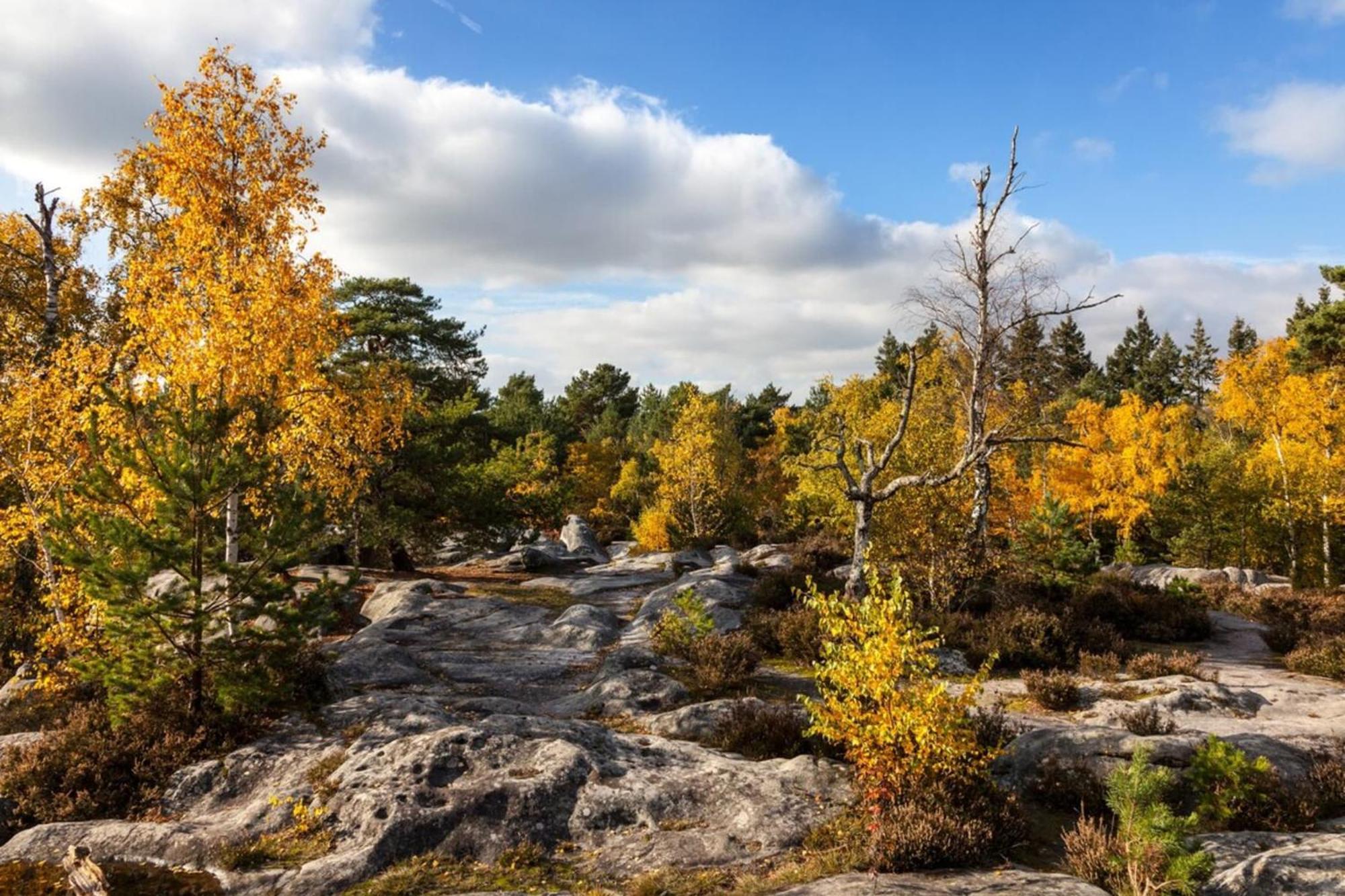 Cosy Fontainebleau Lejlighed Eksteriør billede